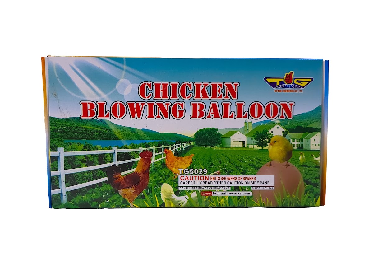 Chicken Blowing a Balloon
